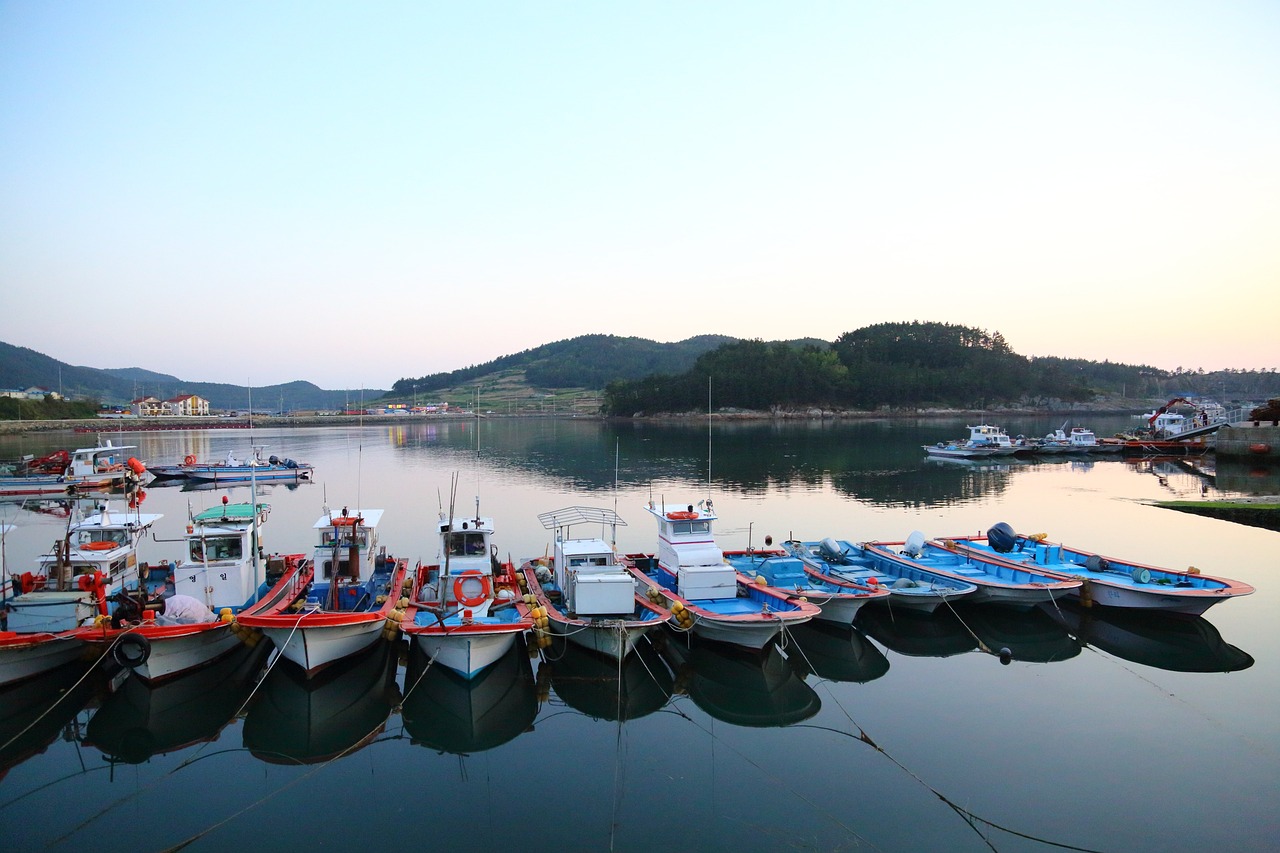 완도 전복직거래