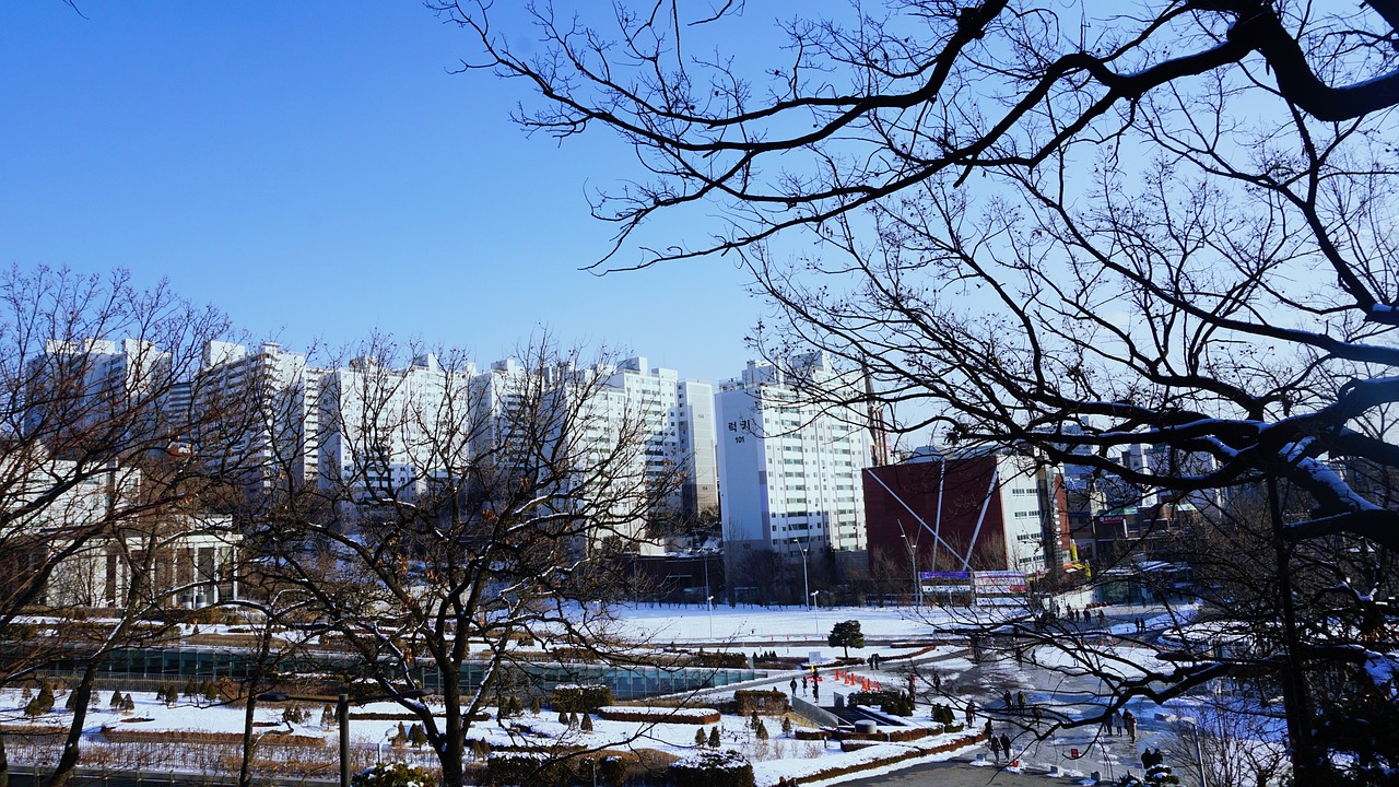 범보의자대여