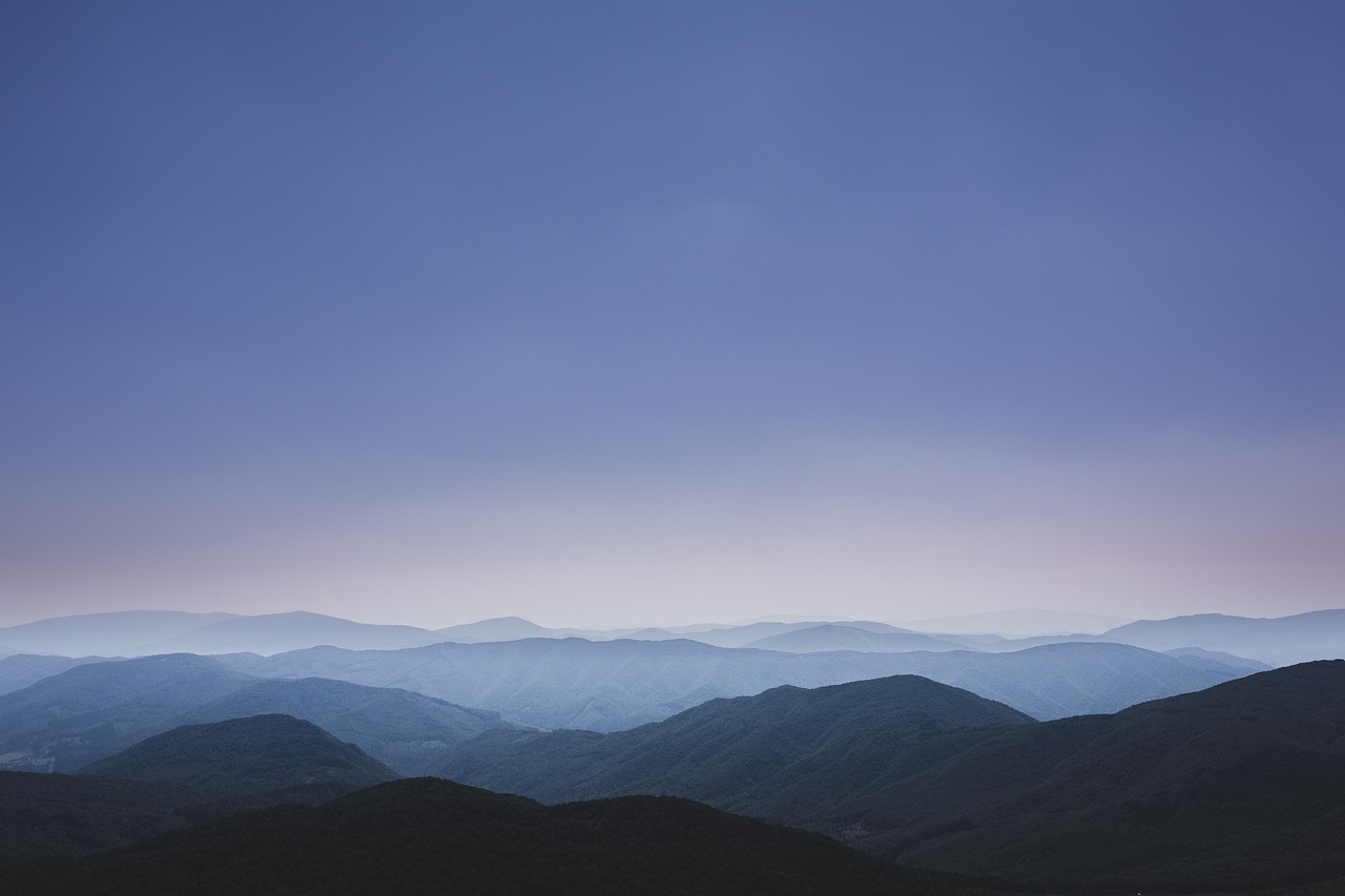 둔산동 한의원