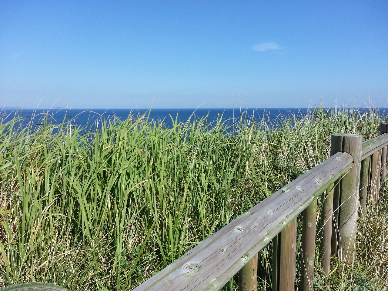 제주 별장펜션