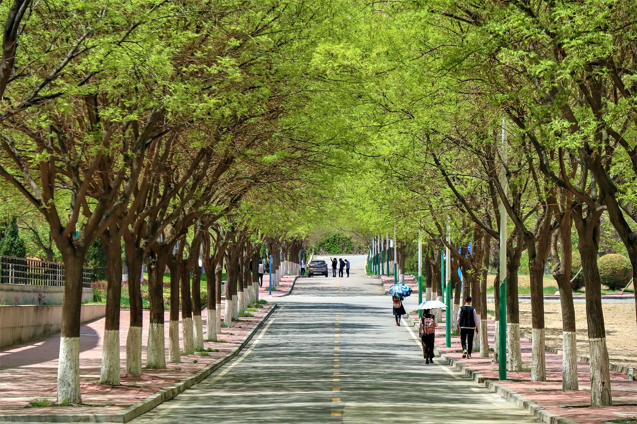 경추 교정