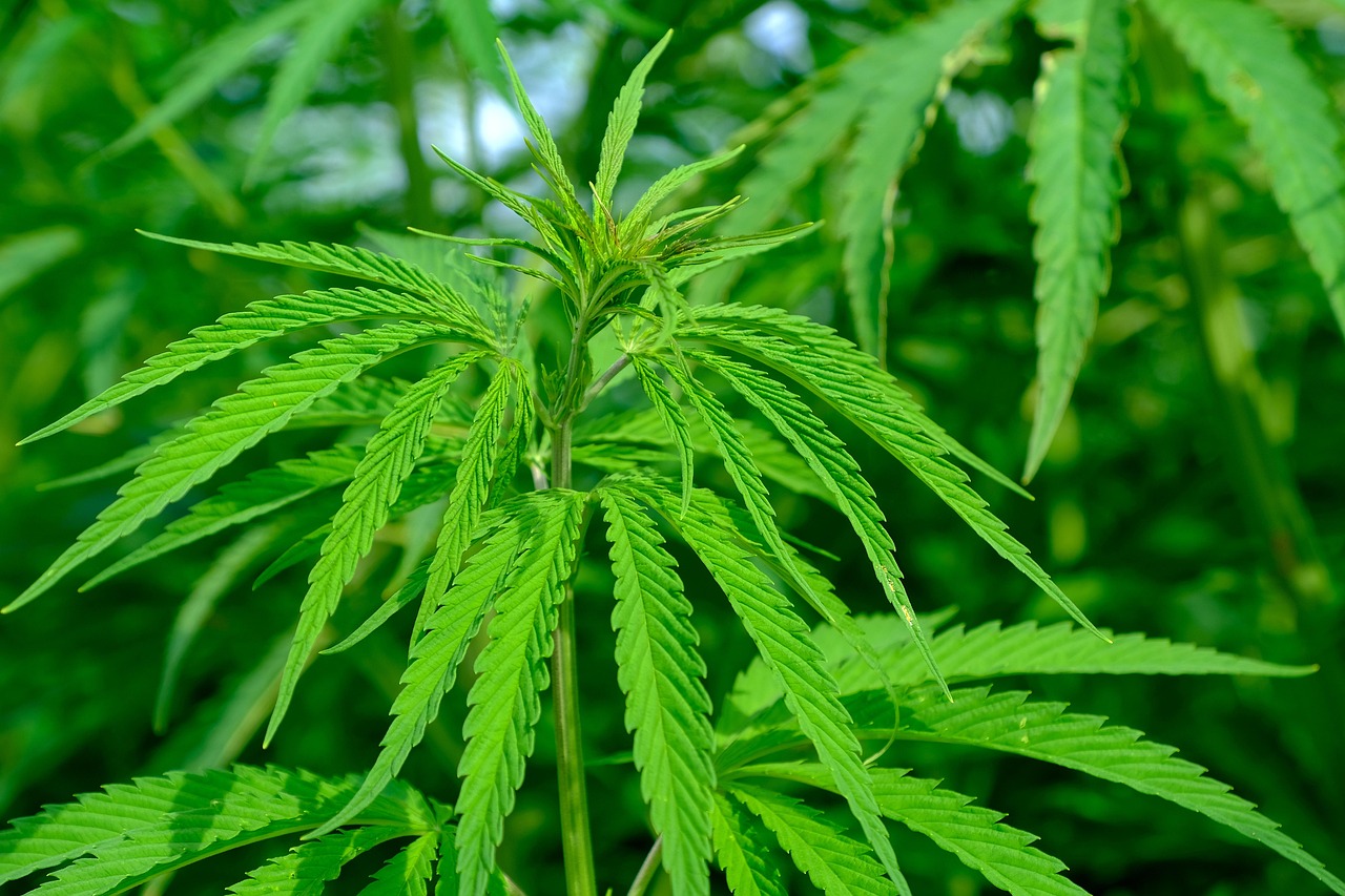 대마도 면세점