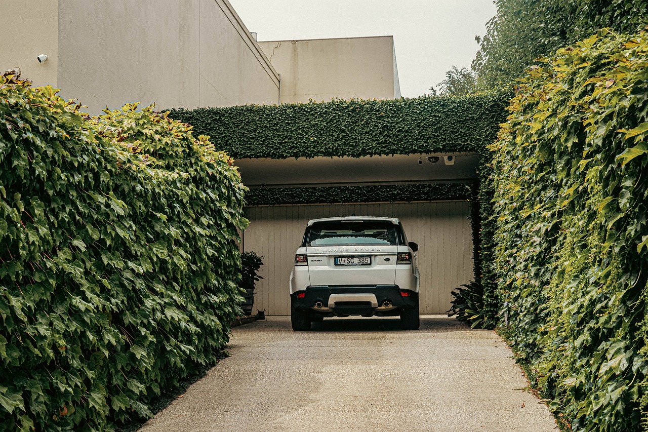 suv 중고차 가격
