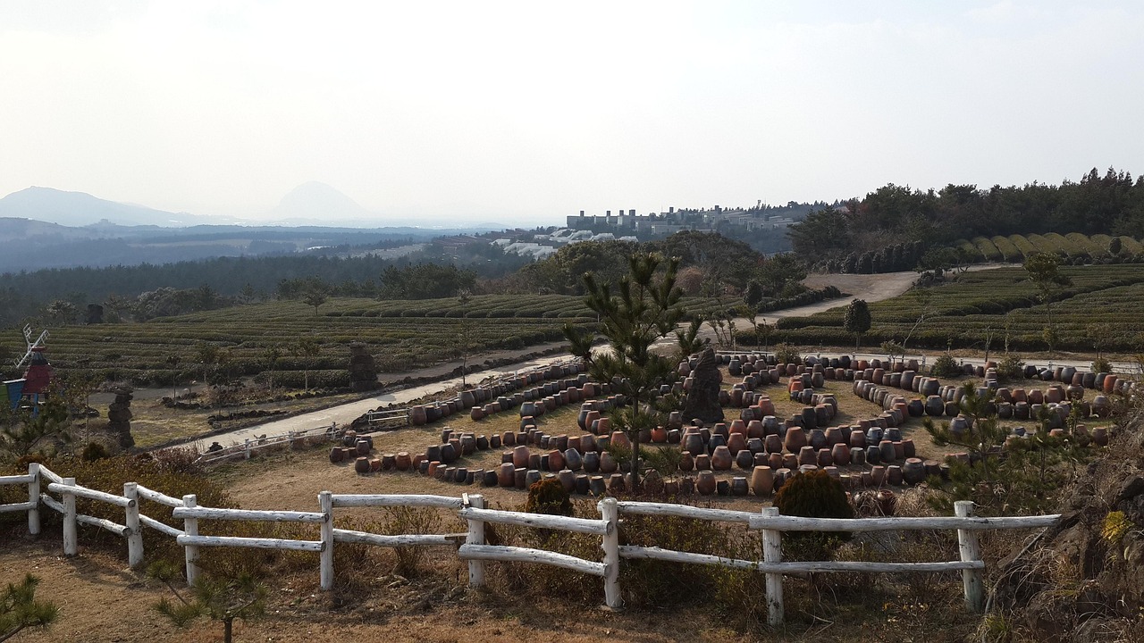 제주도 브이패스