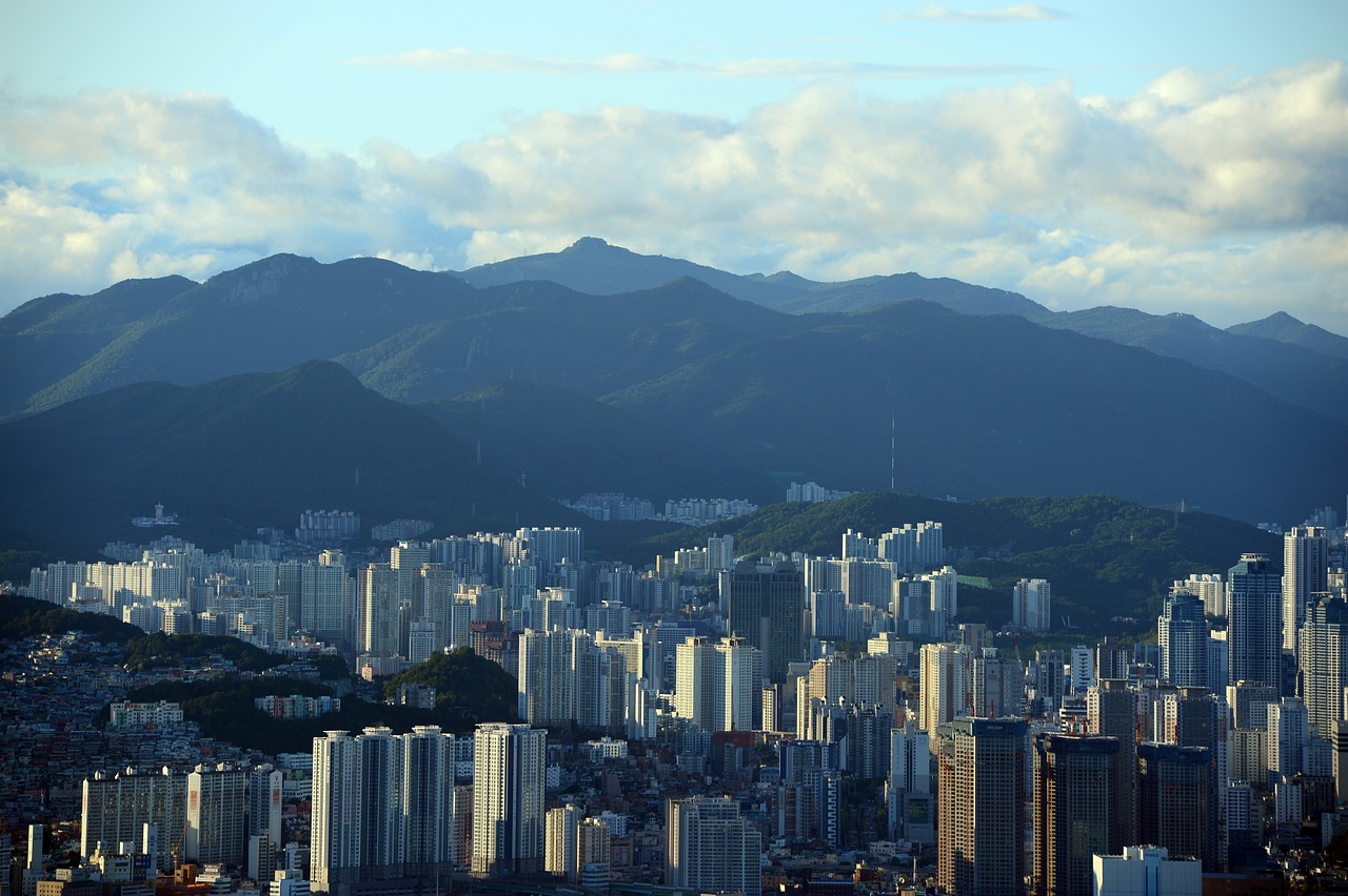 중증환자 연말정산