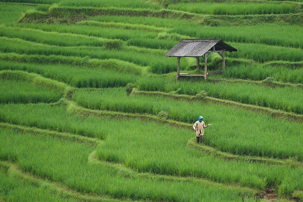 삼송 스타필드