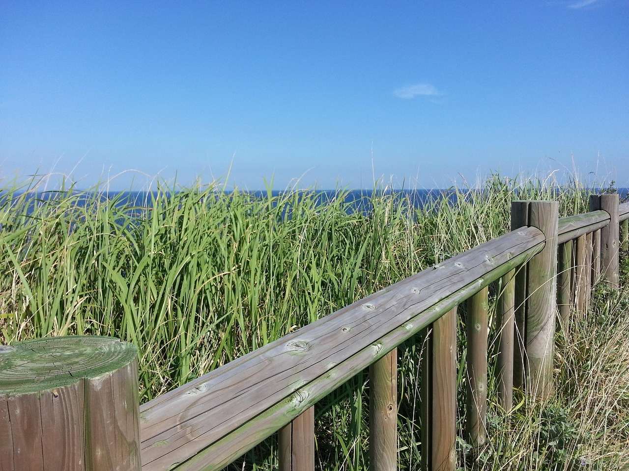제주도올레리조트