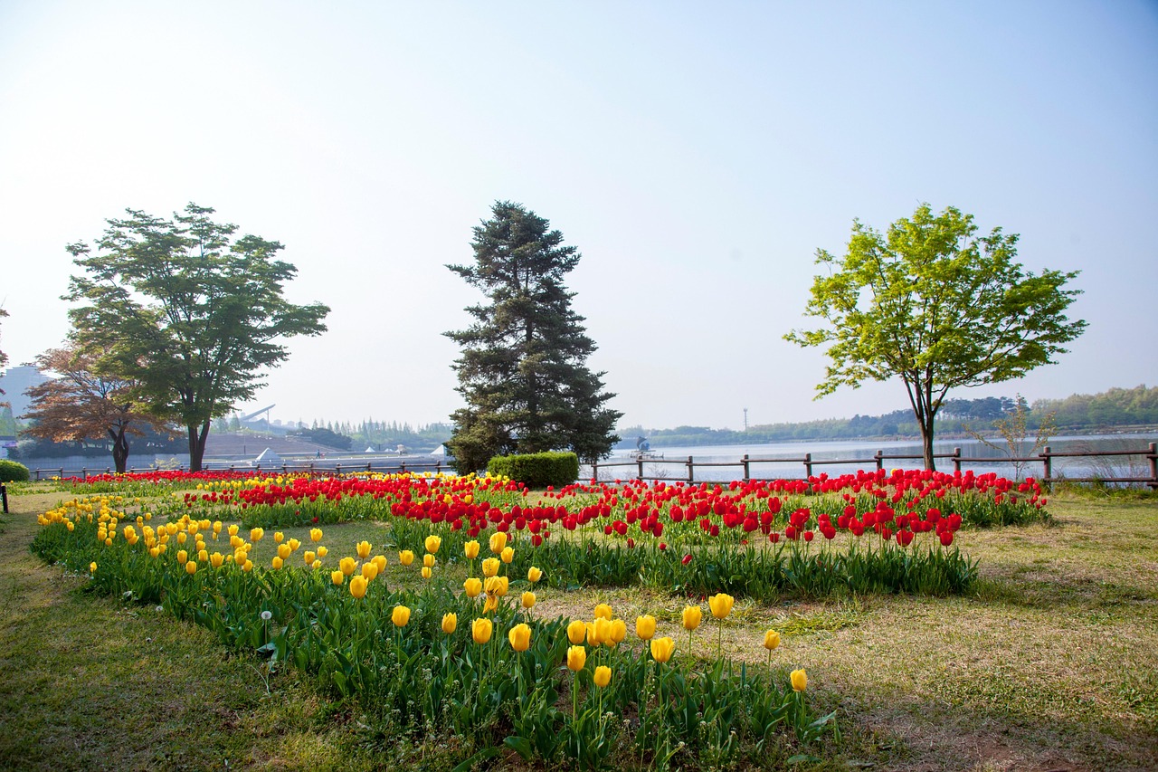일산 누수