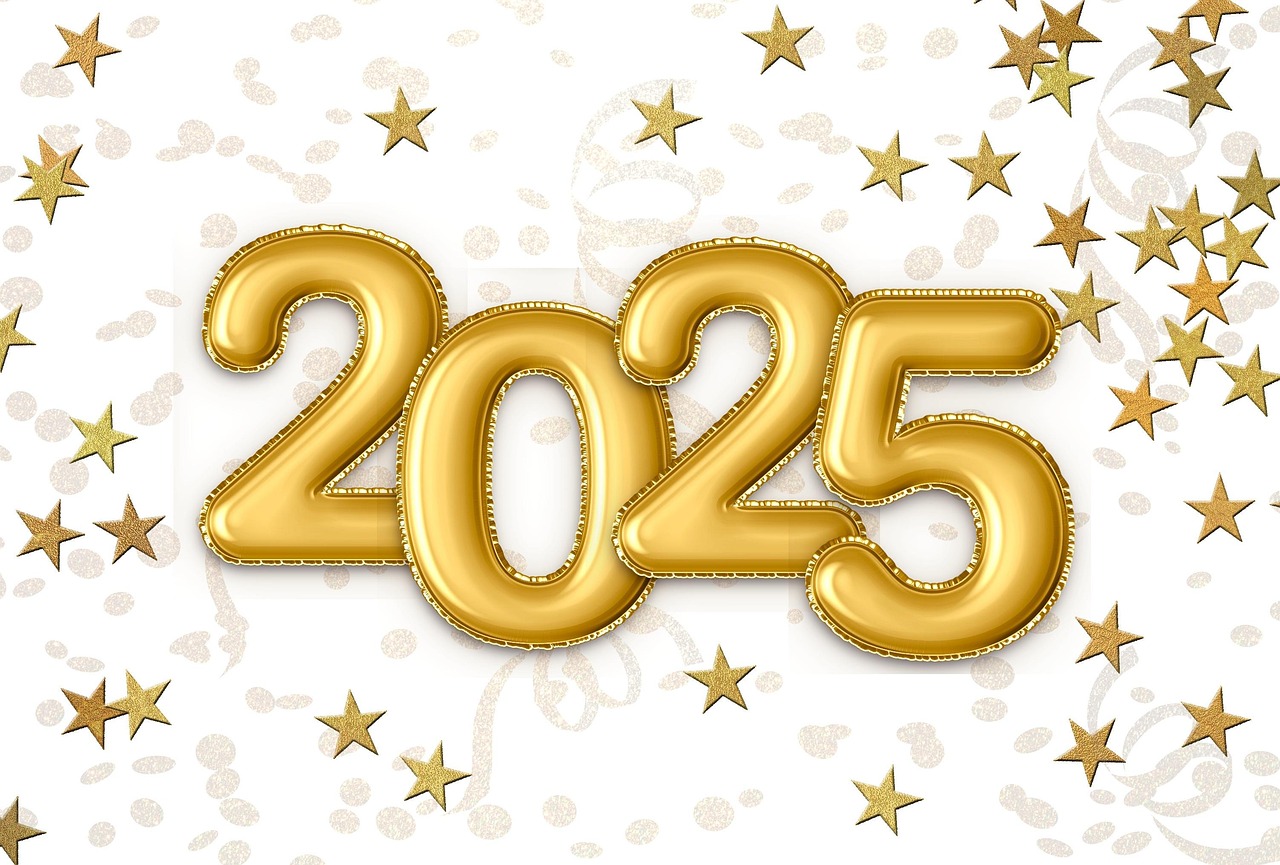 2025 정부 예산안