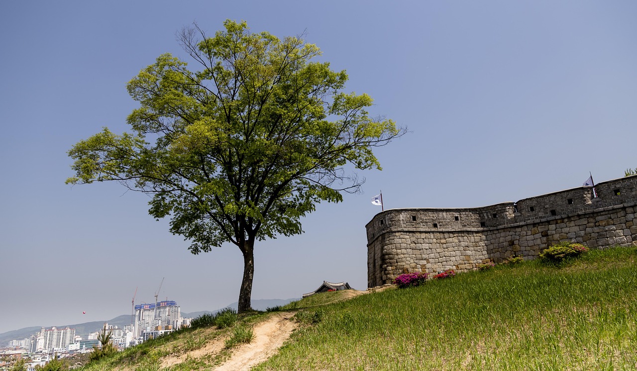 수원 중고헬스기구