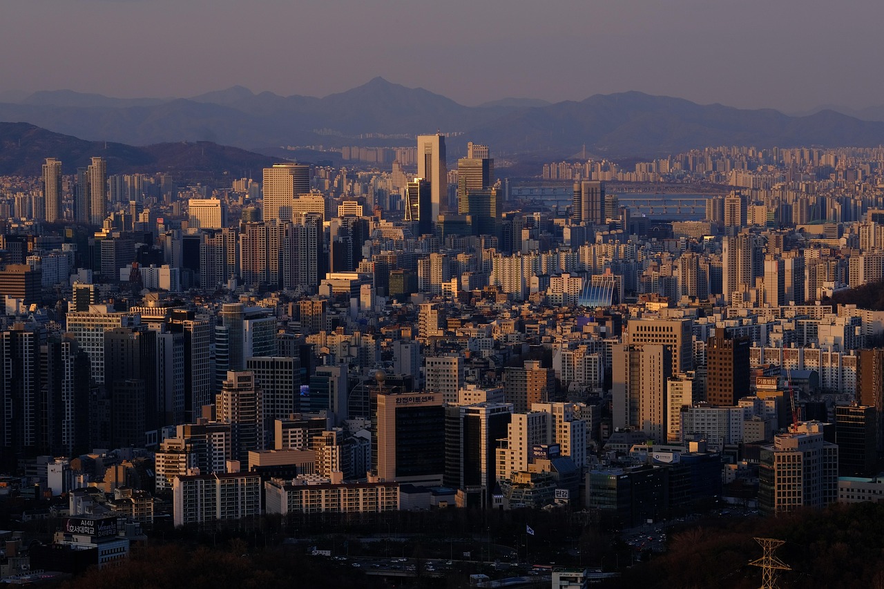 강남 운전연수