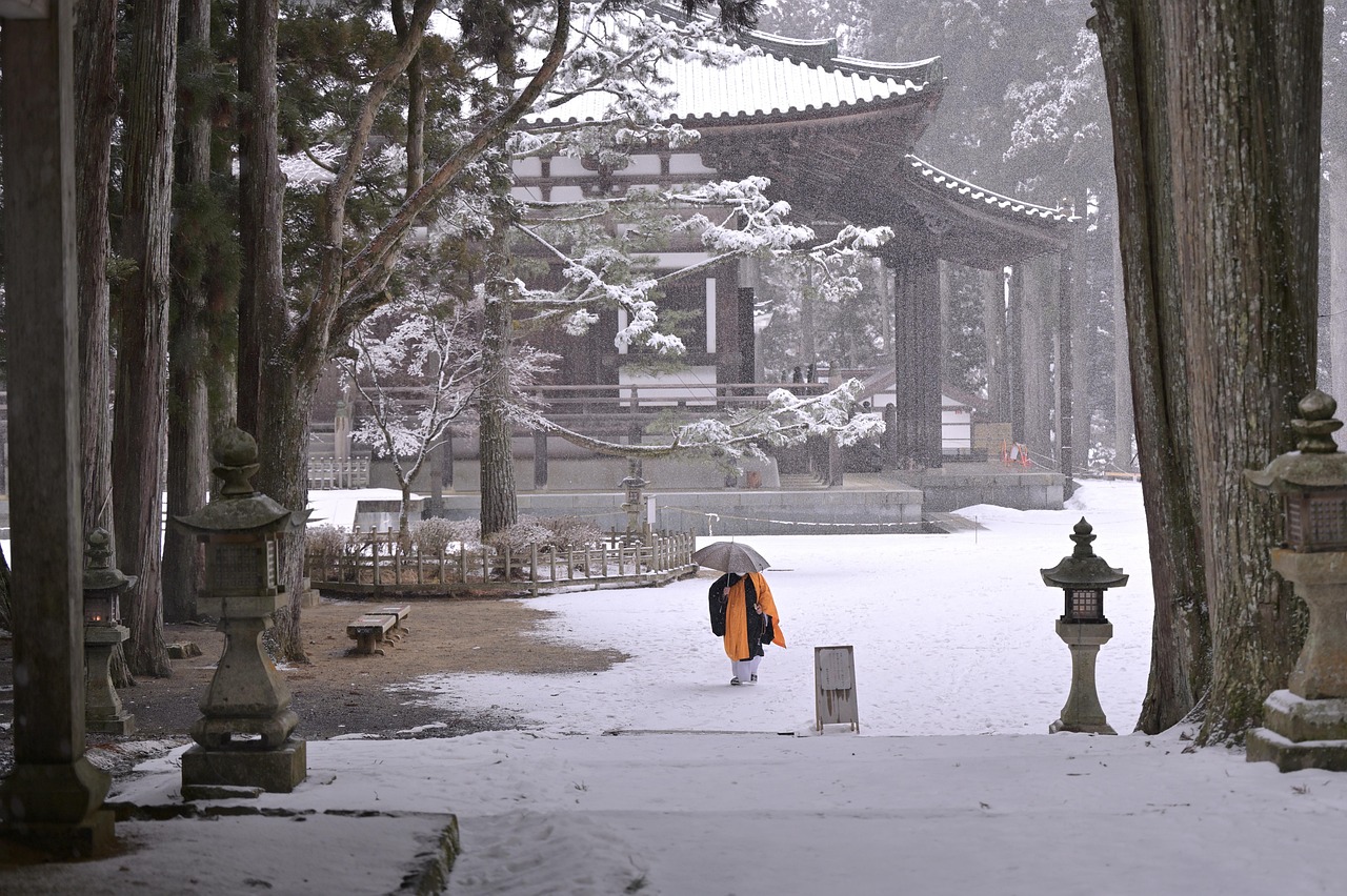 4단 우산