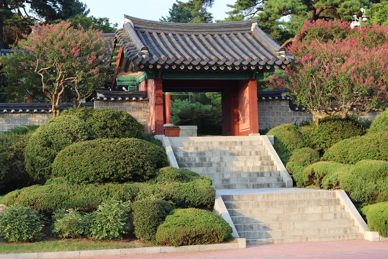 오죽 효능