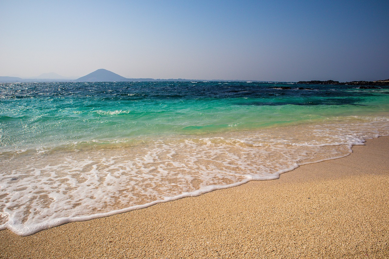 제주도 스킨스쿠버 자격증
