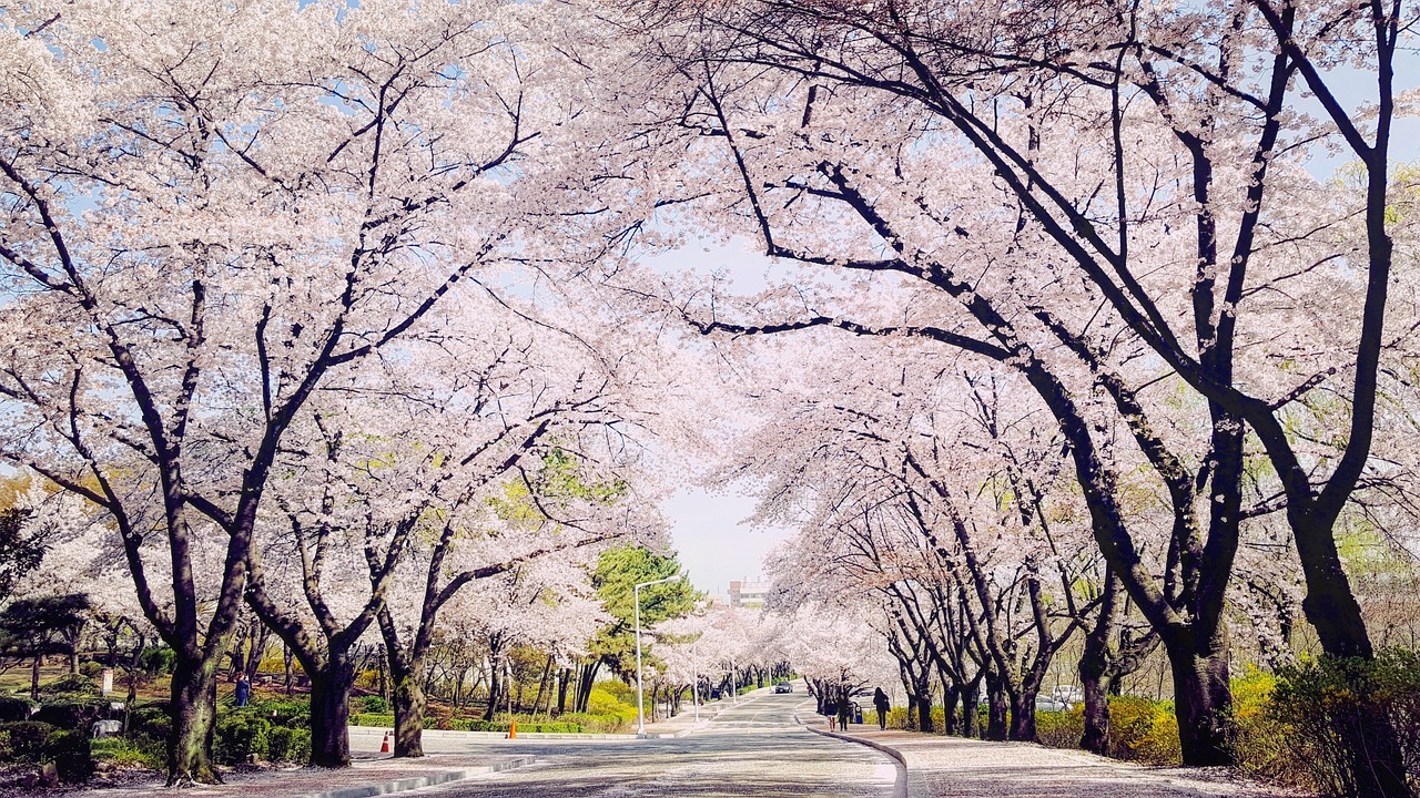 대구 간병인협회
