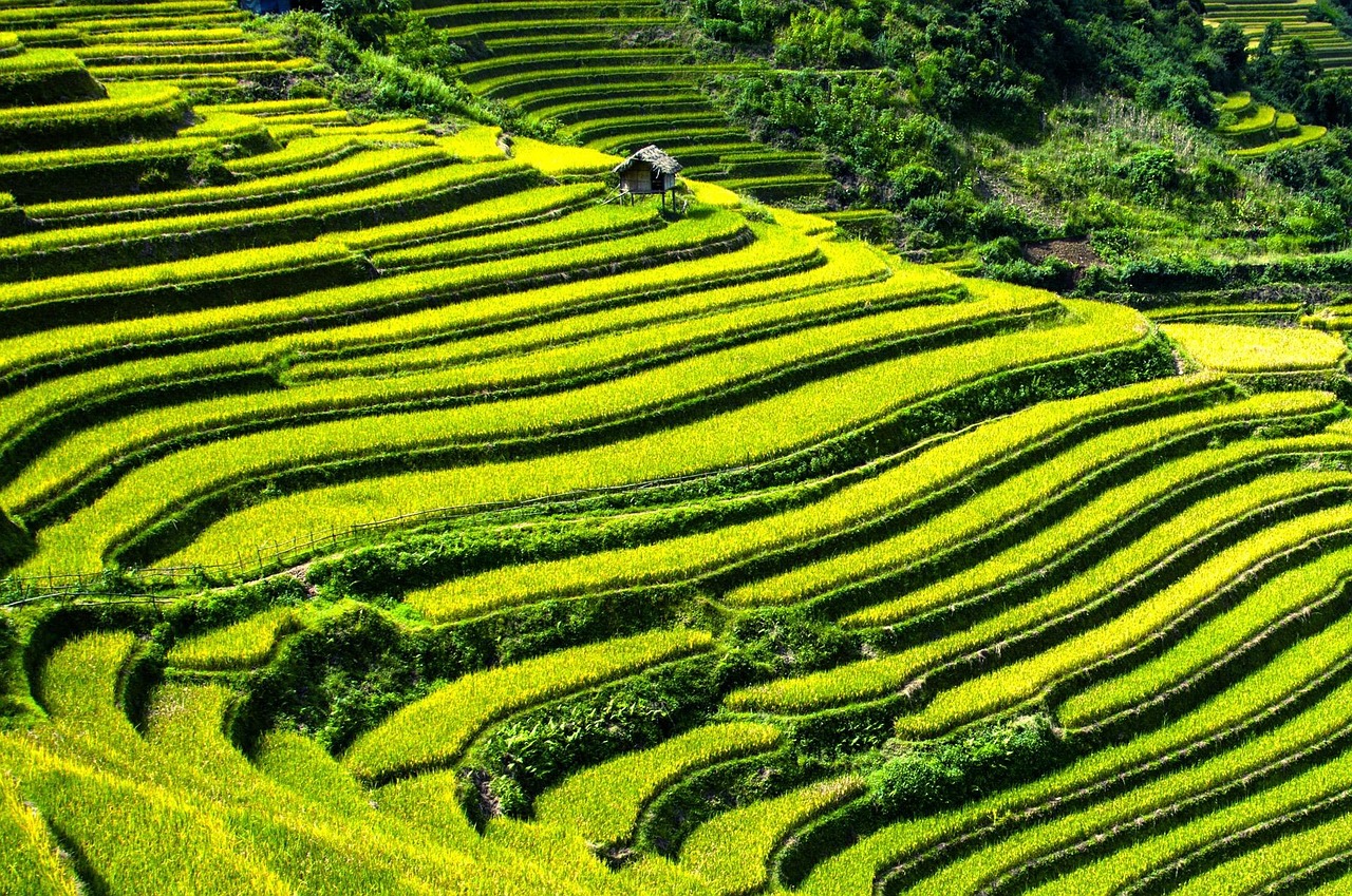 경북 단식원