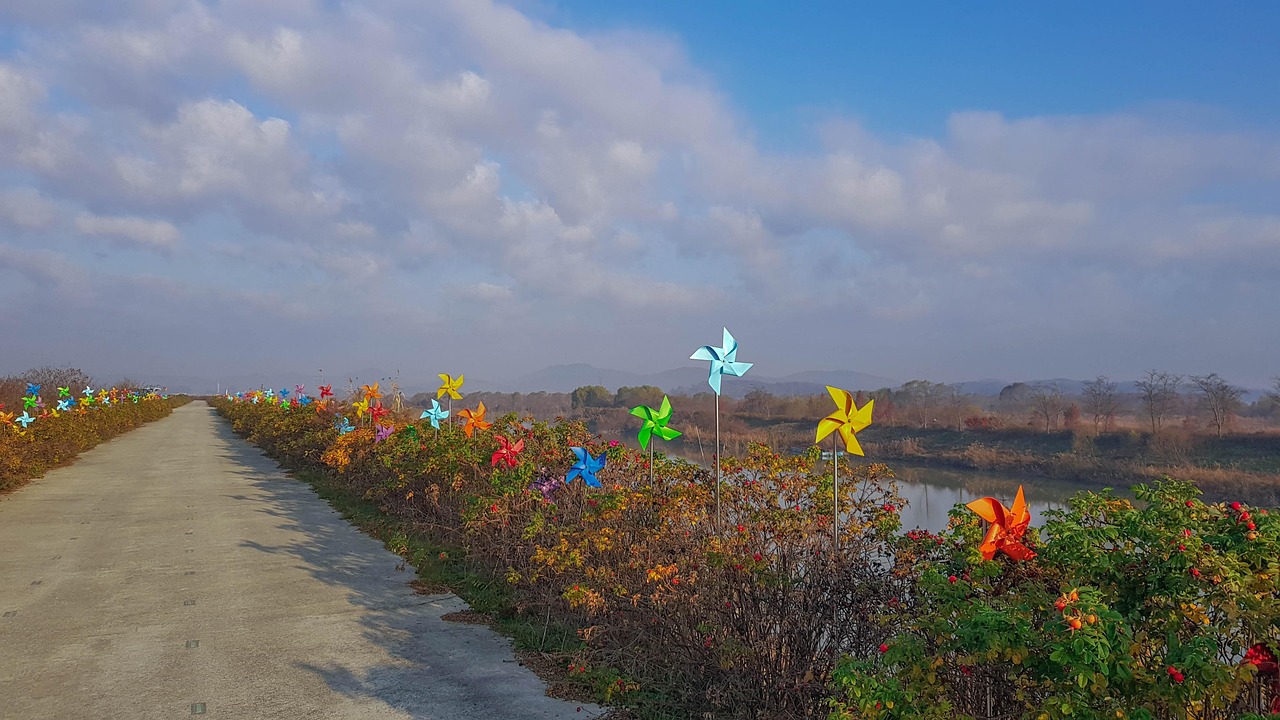 익산 용달이사