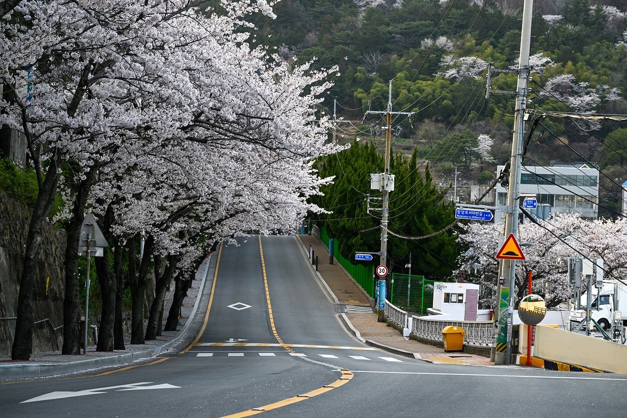 부산 스드메