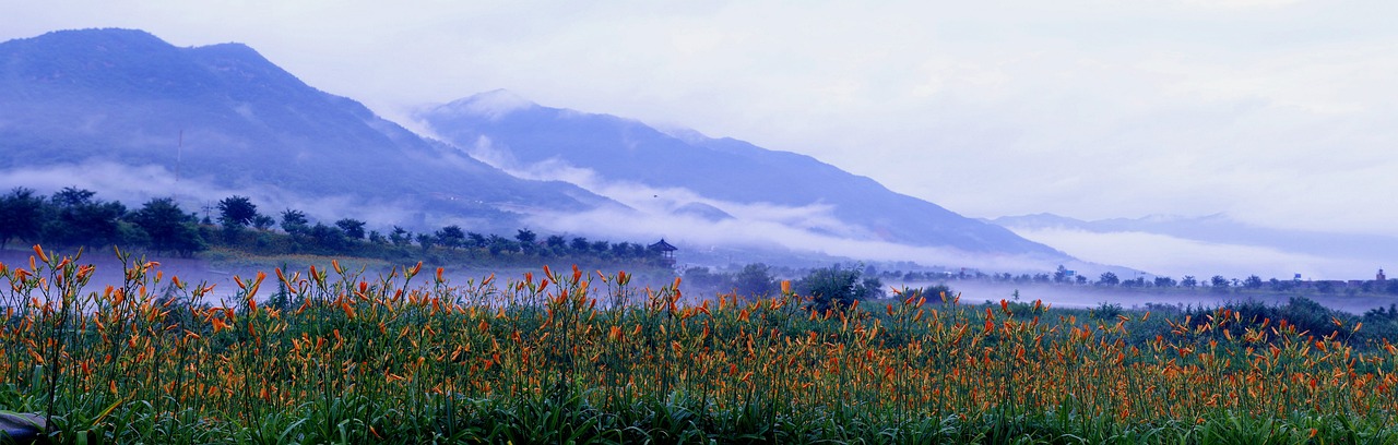 지리산 곶감축제