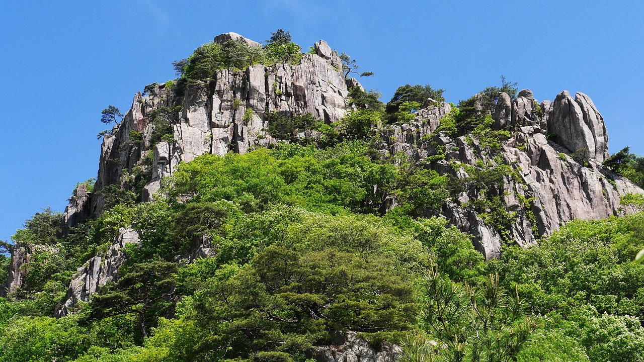 둔산동 한의원