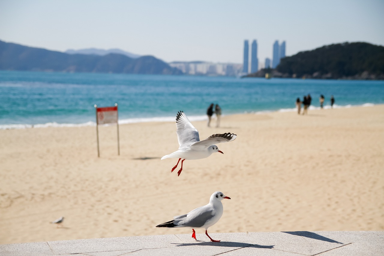 부산 화명동 상가임대
