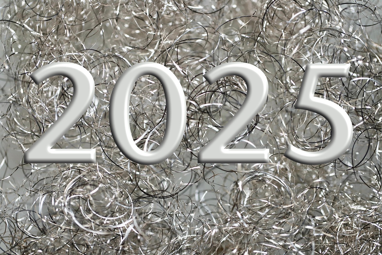2025 정부 예산안