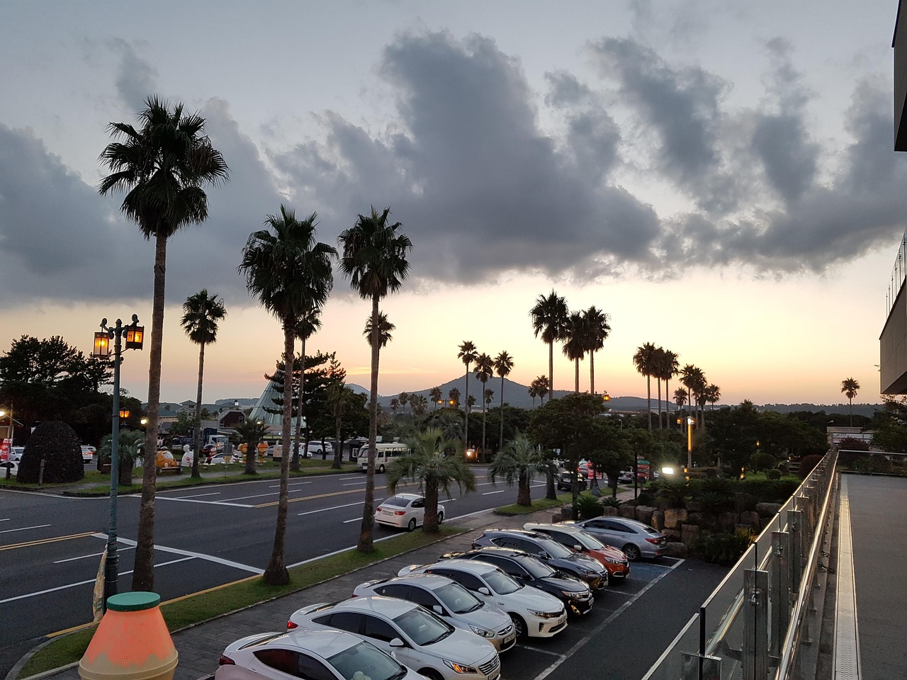 제주 ytn