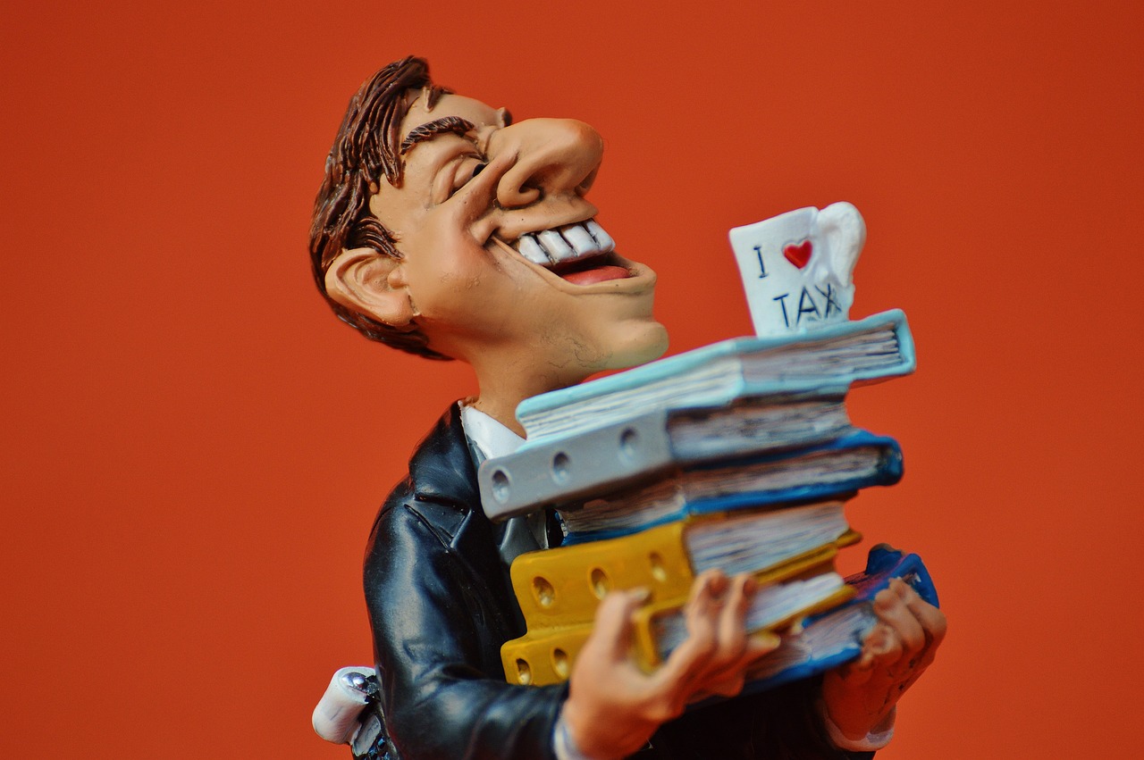개인사업자 세무조사